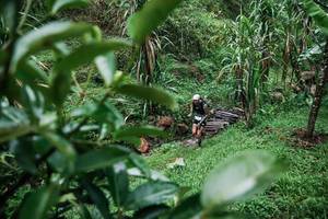 BIB: 
                            <button type="button" onclick="openModal(26200109)" class="btn btn-primary btn-sm float-right btn-popup" data-toggle="modal" data-target=".modal-high-quality">
                        <i class="fas fa-shopping-cart"></i> Add to Cart
                    </button>
                                            <button type="button" onclick="isThisMe(26200109, true)" class="btn btn-success btn-sm float-right btn-popup btn-isme hidden" data-toggle="tooltip" data-placement="bottom" title="นี่คือรูปของคุณใช่ไหม คลิกที่นี่เพื่อเอาเข้าอัลบั้ม">
                        <i class="fas fa-plus"></i> Add to album
                    </button>
                    <button type="button" onclick="isThisMe(26200109, false)" class="btn btn-warning btn-sm float-right btn-popup btn-isnotme hidden">
                        <i class="fas fa-ban"></i> Remove from album
                    </button>